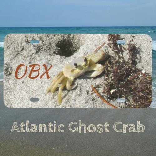 OBX NC Ghost Crab Photographic Coastal Beach License Plate