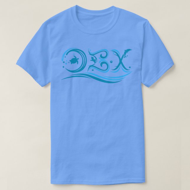 OBX Outer Banks North olina Waves T-Shirt (Design Front)
