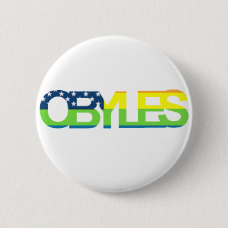 OBYLES Rainbow Flag Pinback Button