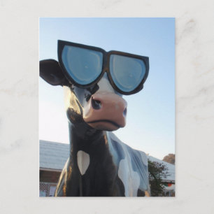 OC Fair Postcard