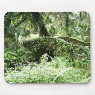 Ocala Florida Forest Footbridge mousepad photo art