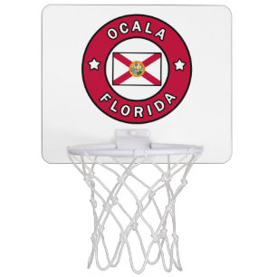 Ocala Florida Mini Basketball Hoop
