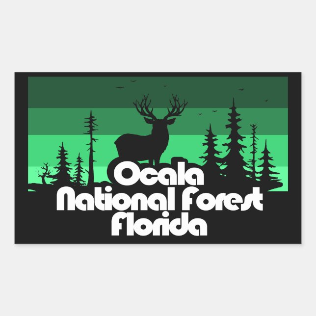 Ocala National Forest Florida Rectangular Sticker (Front)