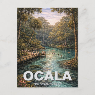 Ocala National Forest Florida Travel Postcard