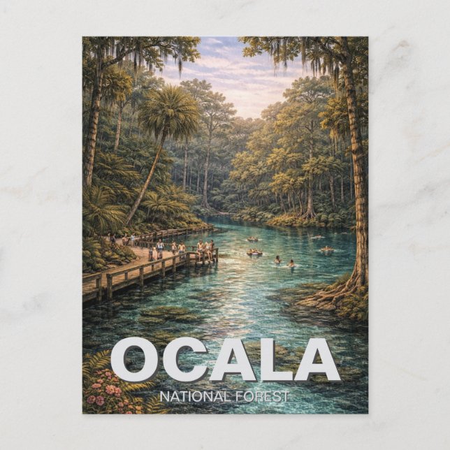 Ocala National Forest Florida Travel Postcard (Front)