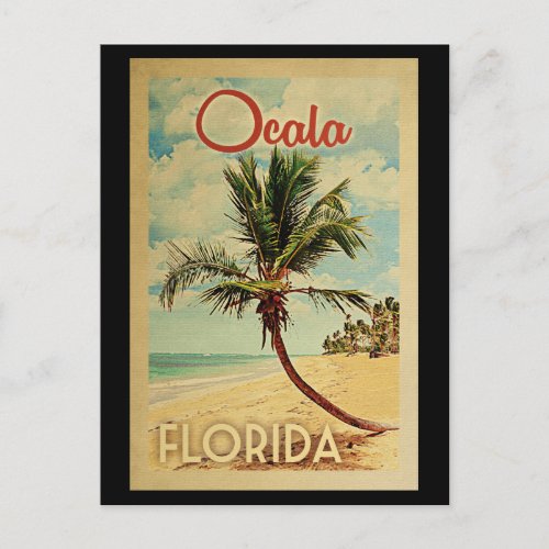 Ocala Palm Tree Vintage Travel Postcard