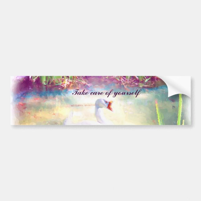 Occasions_ Bumper Sticker (Front)