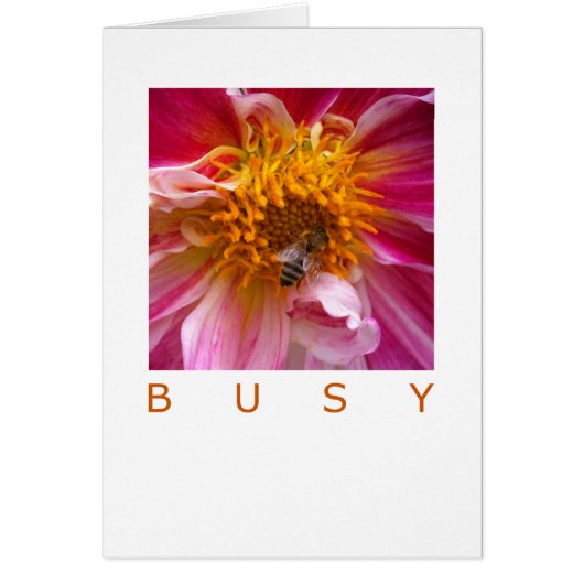 Occassion Card: Busy Bee (Front)