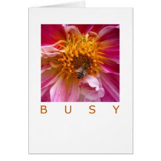 Occassion Card: Busy Bee Cards