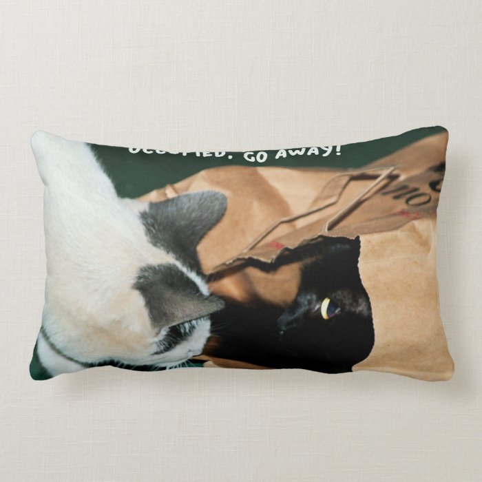 Occupied, Go Away Funny Cats Pillows