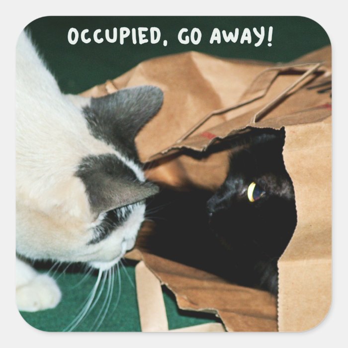 Occupied, Go Away Funny Cats Stickers