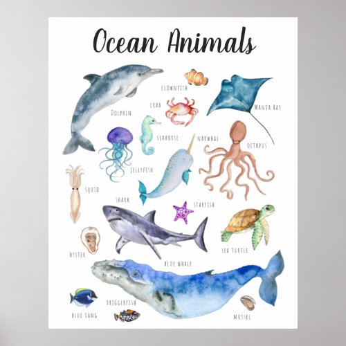 Ocean Animals  Education Learning Classroom Poster