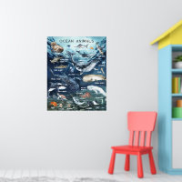 Ocean Animals | Education Learning Classroom