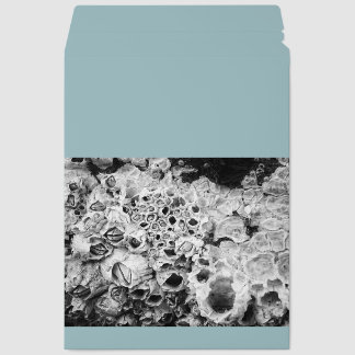 ocean art envelope mailers