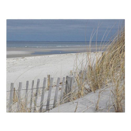 Ocean Beach and sand dunes Faux Canvas Print
