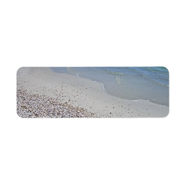Ocean Beach and Shells Label (Front)