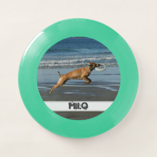 Ocean Beach Photo Name Dog Catching Wham-O Frisbee