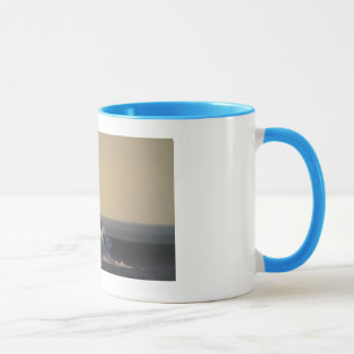 Ocean Beach San Francisco Mug