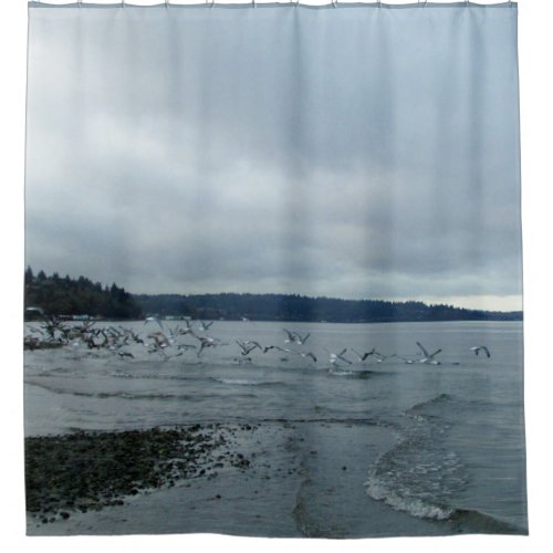 Ocean Beach Scene Shower Curtain