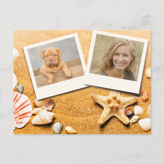 Ocean Beach Starfish Seashells Two Photo Postcard (Front)