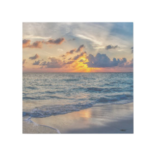 OCEAN BEACH TROPICAL ART GALLERY WRAP 12X12