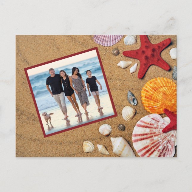 Ocean Beach Vacation Starfish Seashells Photo Postcard (Front)