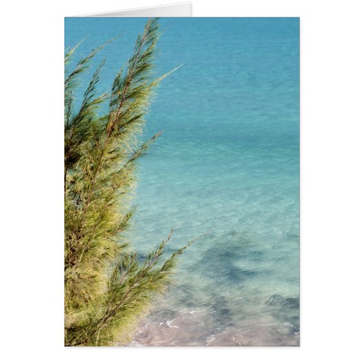 Ocean Cards (Front)