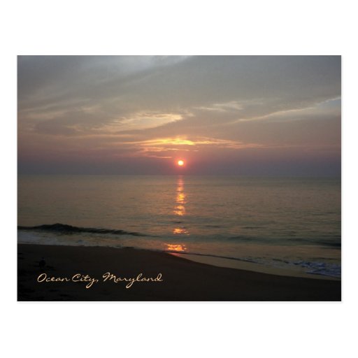 Ocean City Maryland Postcard | Zazzle