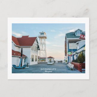 Ocean City Maryland. Postcard