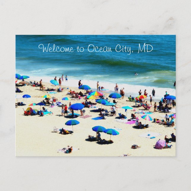 Ocean city md postcard (Front)