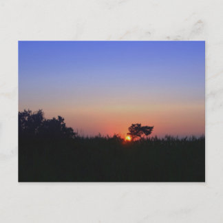 OCEAN CITY MD POSTCARD