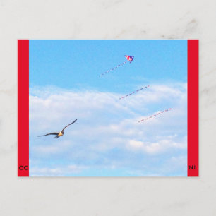 Ocean City, New Jersey Post Card-Fly Postcard