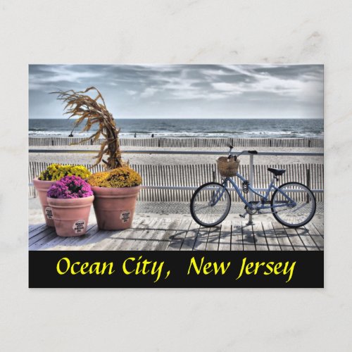 Ocean City New Jersey Postcard