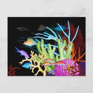 Ocean Colors Postcard