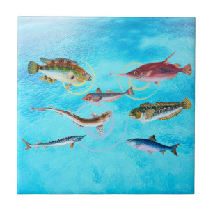 Ocean Delight  Ceramic Tile