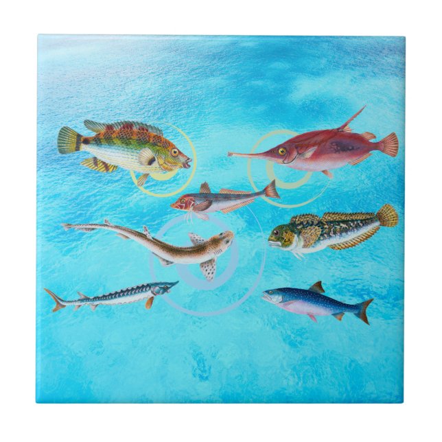 Ocean Delight  Ceramic Tile (Front)