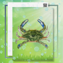 Ocean Drifting Crab Postcard