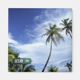 Ocean Drive' road sign, South Beach, Miami, Florid Magnet