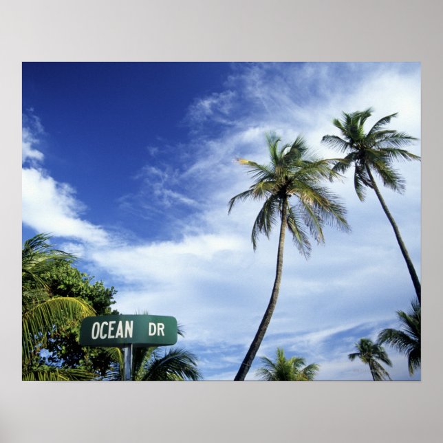 Ocean Drive' road sign, South Beach, Miami, Florid Poster (Front)