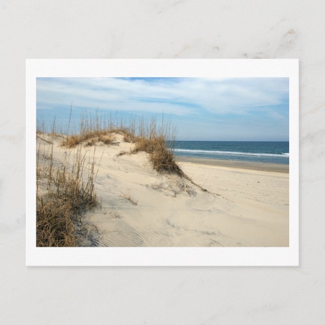 Ocean Dunes (customize) Postcard (Front)