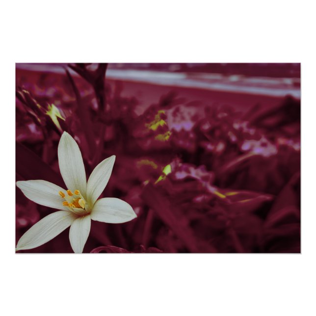 Ocean flower landscape art poster (Front)