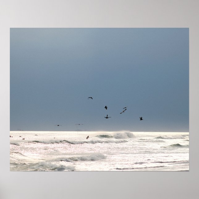 Ocean Horizon with Brown Pelicans Color 16x20 Poster (Front)