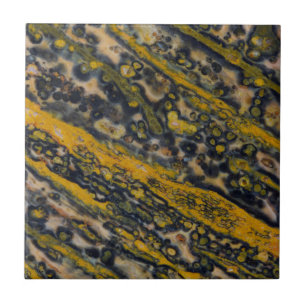 Ocean Jasper Ceramic Tile