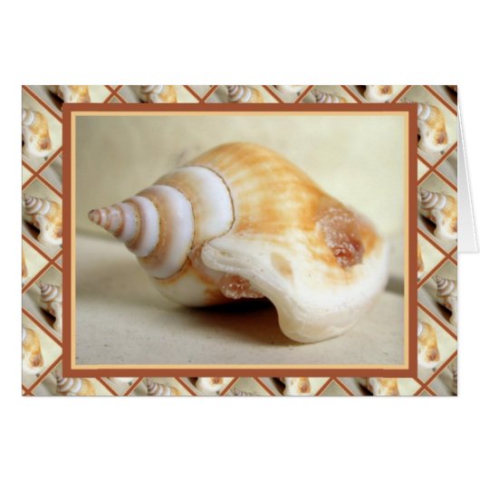 Ocean Jewelry Cards (Front Horizontal)