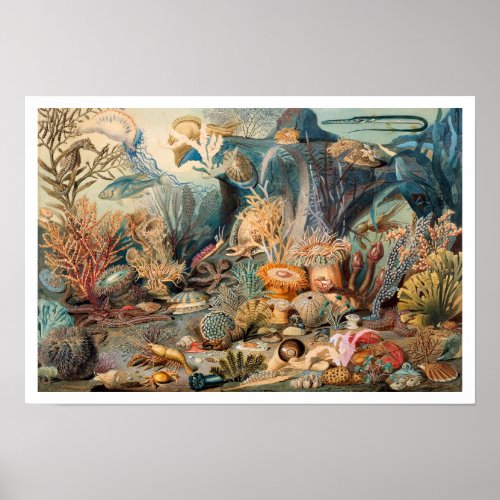 Ocean Life vintage painting with sea creatures Poster