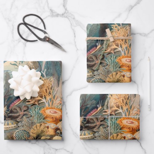 Ocean Life vintage painting with sea creatures Wrapping Paper Sheets