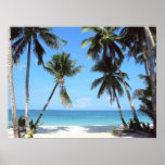 Ocean Palm Trees Print at Zazzle