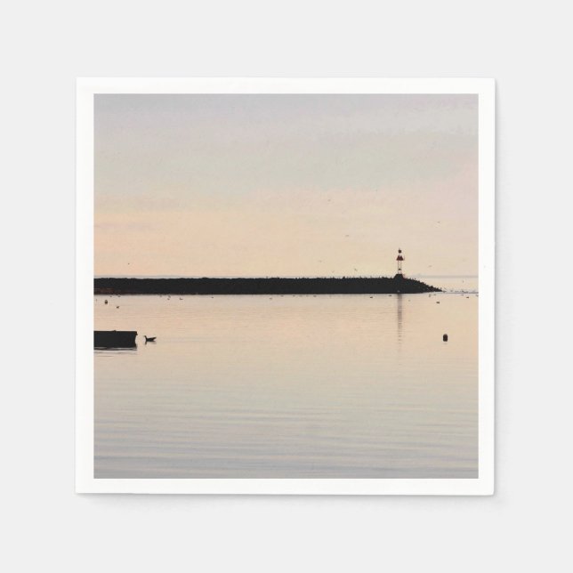 Ocean photo napkins (Front)