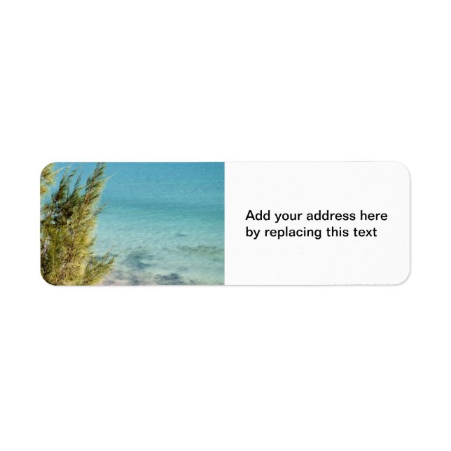 Ocean Return Address Label (Front)