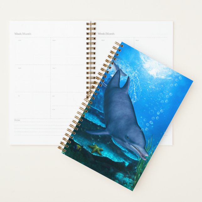 Ocean’s Smile Planner (Display)